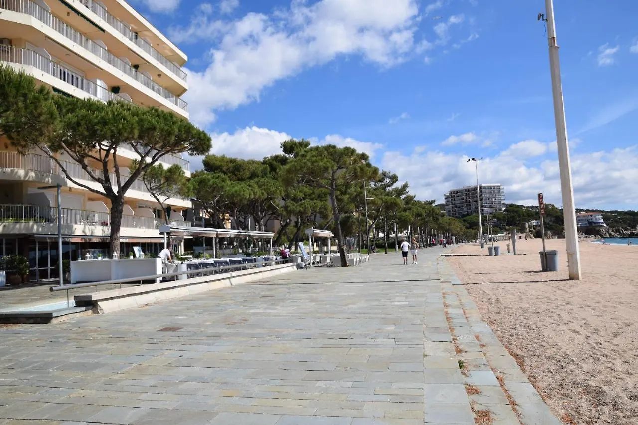 شقة Apartament Platja بلاتجا ذارو إسبانيا